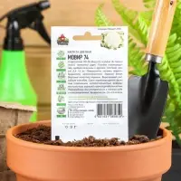 Семена Капуста цветная "Мовир 74", ц/п, 0,1 г  серия ХИТ х3