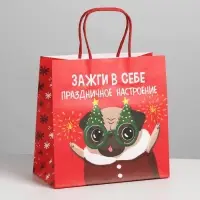 Пакет подарочный новогодний &laquo;Зажги в себе&raquo;, 22 х 22 х 11 см