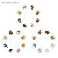 Слайды для проектора &laquo;Животные России&raquo;, набор, 3 слайда, 24 картинки