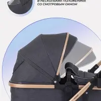 Коляска - трансформер детская RANT basic PULSAR GOLD (2в1) RA160, серый