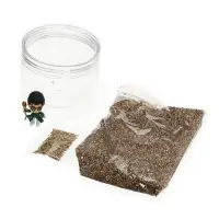 ЭВРИКИ Набор для опытов "Волшебные опыты", адвент-календарь