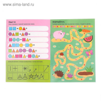 Набор многоразовых книжек &laquo;Пиши-стирай. Играем в дороге&raquo; 4 шт., в пакете