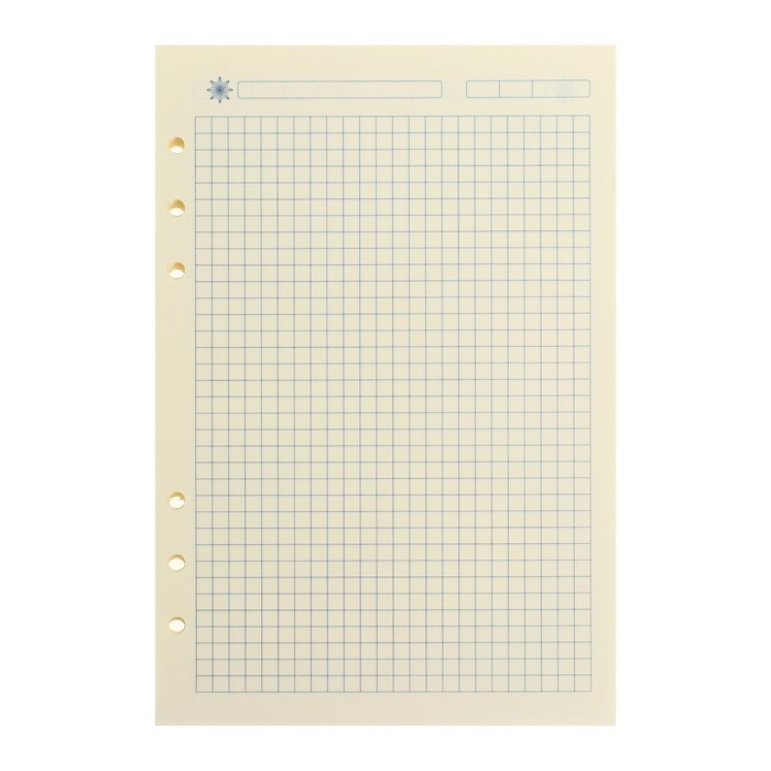 Сменный блок для органайзера А5, 80 листов в клетку, тонированный "Кремовый"