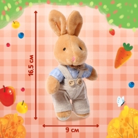 Набор 3 в 1 &laquo;Крольчонок Бенни&raquo;, картонная книга, пазл, игрушка