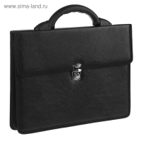 Портфель деловой 340 х 260 х 80 мм, 2 отделения, искусственная кожа "Вырица" чёрный 4С11