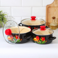 Набор эмалированных кастрюль &laquo;Грациозный&raquo;, 3 предмета: 1,5 л, 2 л, 3 л, индукция