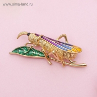 Брошь &laquo;Кузнечик&raquo;, цветная в золоте