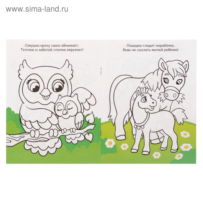 Раскраски набор &laquo;Для девочек&raquo;, 8 шт. по 12 стр.