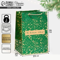 Пакет подарочный новогодний ламинированный &laquo;Хочу в сказку&raquo;, 23 х 35 х 20 см, Новый год