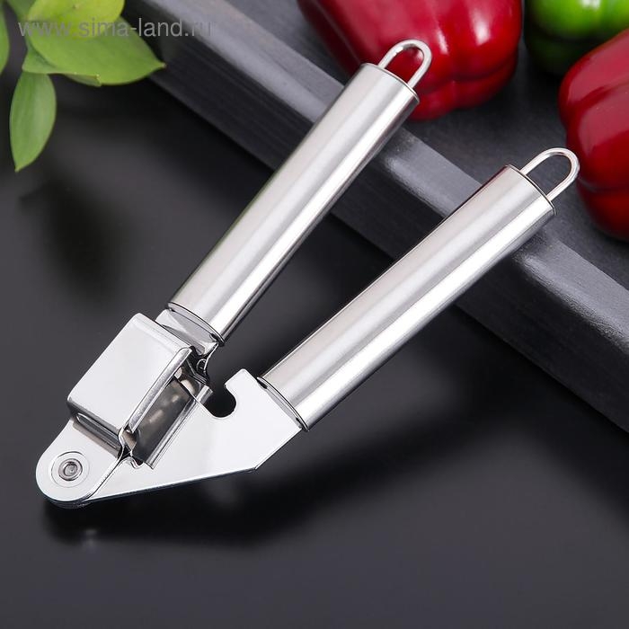 Пресс для чеснока Доляна &laquo;Металлик&raquo;, 19,5 см, цвет серебряный