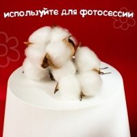 Сухие цветы хлопка, набор 3 шт., размер 1 шт. 6 &times; 6 см, цвет белый