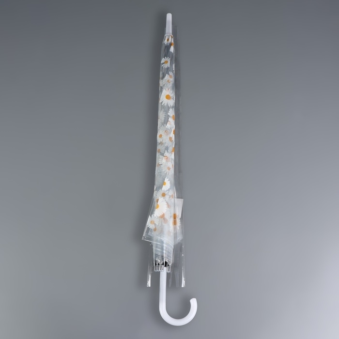 Зонт - трость полуавтоматический &laquo;Ромашка&raquo;, 8 спиц, R = 45/55 см, D = 110 см, цвет прозрачный/белый