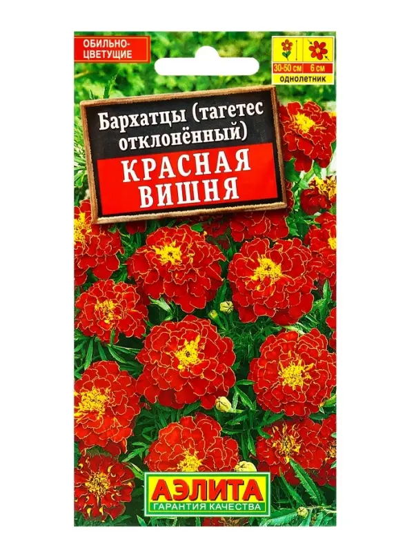 Семена цветов Бархатцы Красная вишня отклоненные , Ц/П,0,3 г