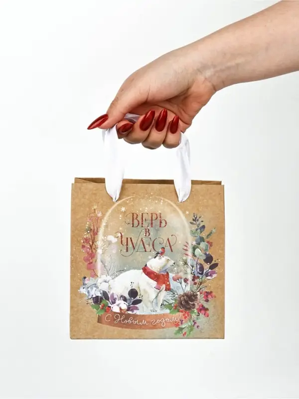 Набор новогодних пакетов &laquo;Верь в чудеса&raquo;