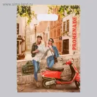 Пакет &laquo;Прогулка&raquo; полиэтиленовый с вырубной ручкой, 50 мкм, 30&times;40 см