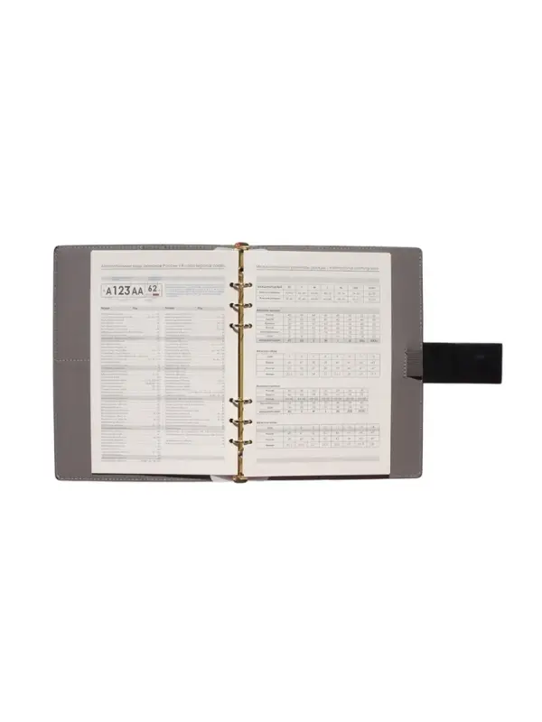 Органайзер на кольцах, А5, с хлястиком, 80л, линия, к/зам, Черный