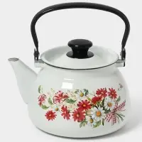 Чайник сферич. с мет.р. 3л (белая)Астры