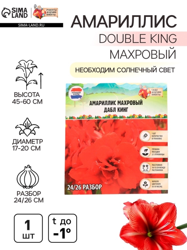 Амариллис Махровый Double King, многолетник, луковица, р-р 24/26, 1 шт.