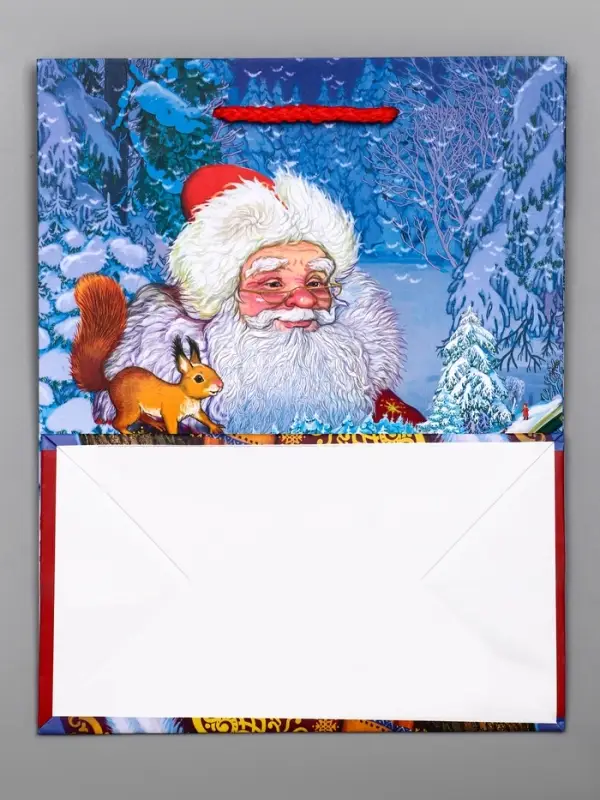 Пакет подарочный новогодний ламинированный, &laquo;Дед мороз&raquo; , 18&times;10&times;22.3 см