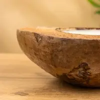 Свеча в кокосе, 18&times;22&times;7 см, коричневая