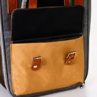 Рюкзак-переноска для кошек и собак, 30 х 21 х 41 см, серо-жёлтый