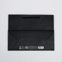 Пакет подарочный ламинированный горизонтальный, упаковка, Hobby, MS 23 х 18 х 10 см