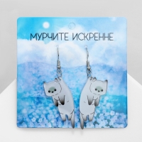 Серьги акрил &laquo;Котики&raquo;, цвет бело-серый