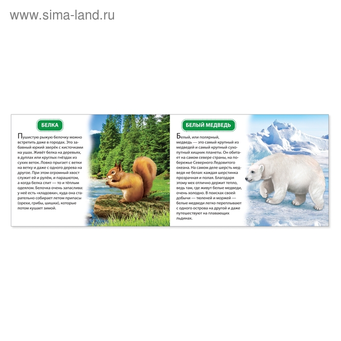 Обучающие книжки набор 6 шт. &laquo;Узнаём про всё вокруг&raquo;, 108 животных и птиц