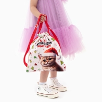 Сумка детская &laquo;Котик в шапке&raquo;, 35 &times; 30 см, новогодняя