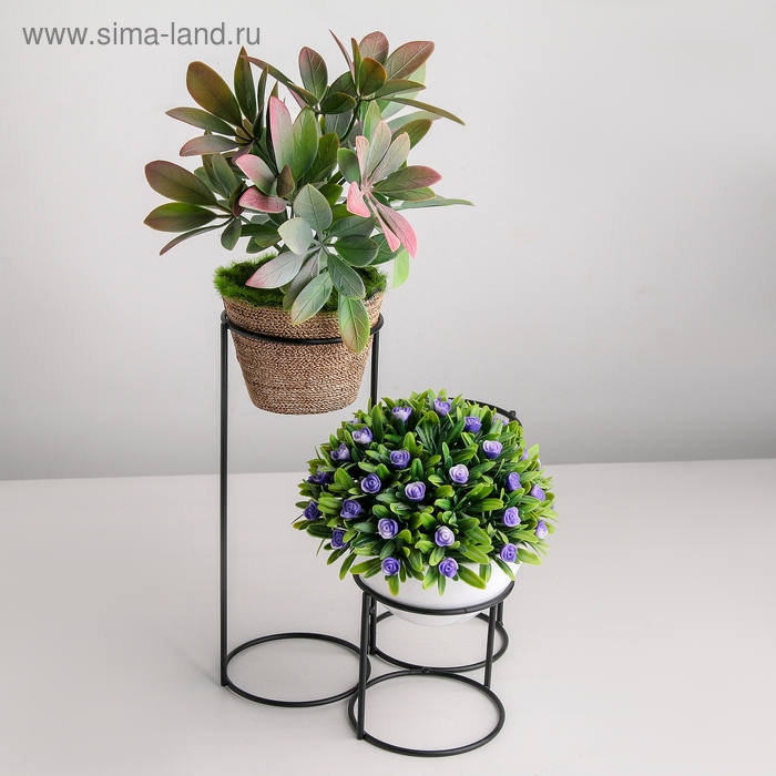 Подставка для цветов Доляна &laquo;Каскад&raquo;, d=8,3см., 18&times;17&times;22 см, цвет чёрный
