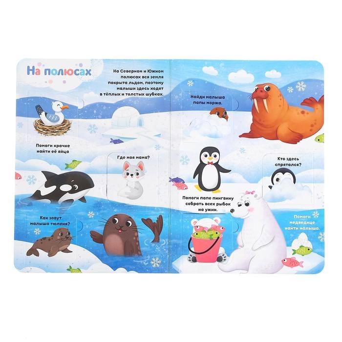 Книга картонная с окошками &laquo;Где моя мамочка&raquo;, 10 стр., 24 окошка