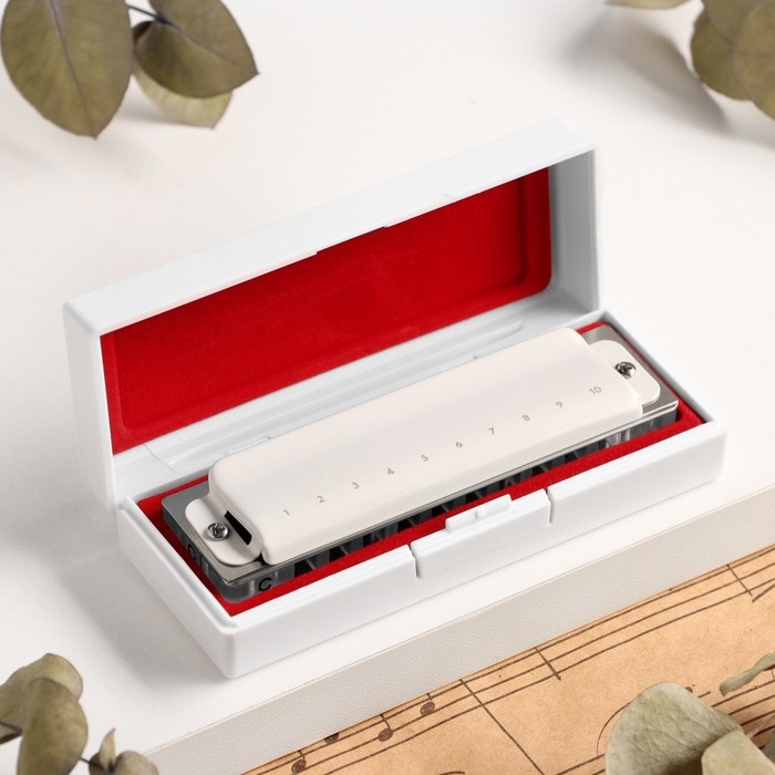 Губная гармошка Music Life T008L  C диатоническая, 10 отверстий, с футляром