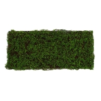 Декоративная панель, 90 &times; 40 см, &laquo;Ряска&raquo;, Greengo