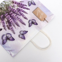 Пакет подарочный крафтовый "Бабочки" 31,5 х 25 х 11,5 см, 120 г/м&sup2;