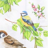 Набор декупажных карт 6 шт &laquo;Птицы&raquo;