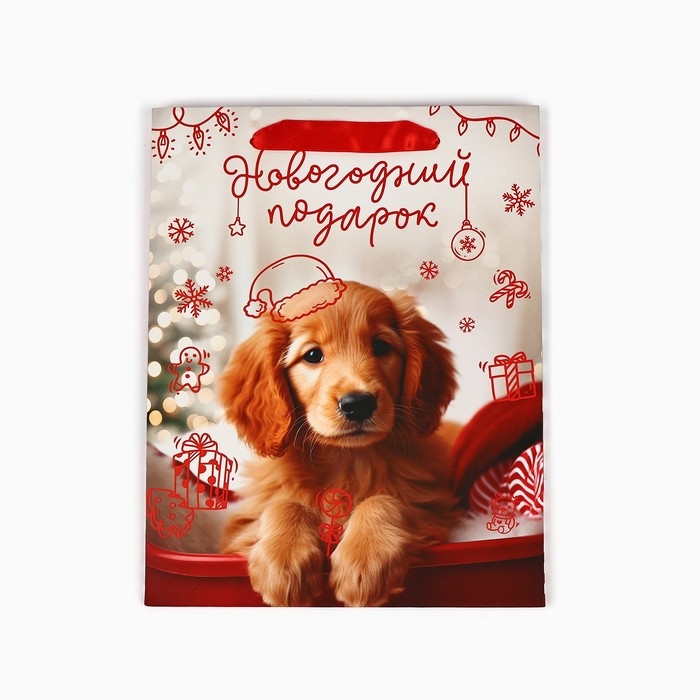 Пакет подарочный новогодний ламинированный &laquo;Новогодний подарок&raquo;, MS 18 х 23 х 10 см , Новый год