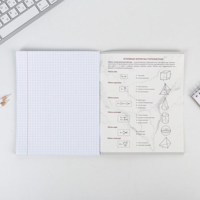 Тетрадь предметная 48 листов, А5, МРАМОР, со справ. мат. &laquo;1 сентября: Геометрия&raquo;, обложка мелованный картон 230 гр внутренний блок в клетку  белизна 96%