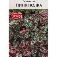 Семена Цветов Гипоэстес "Пинк Полка", ц/п, 0,03 г