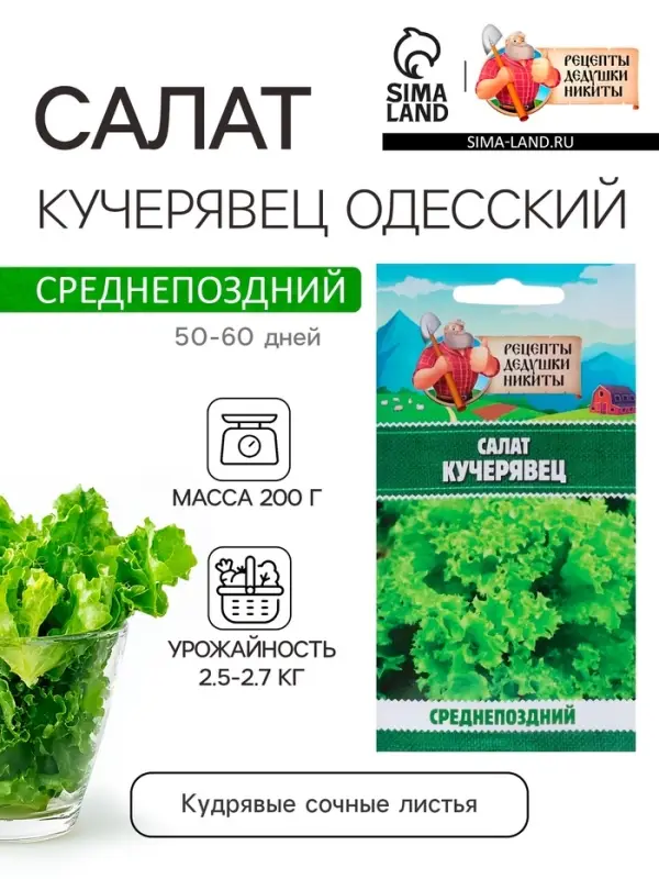 Семена Салат "Кучерявец Одесский", 0,5 г