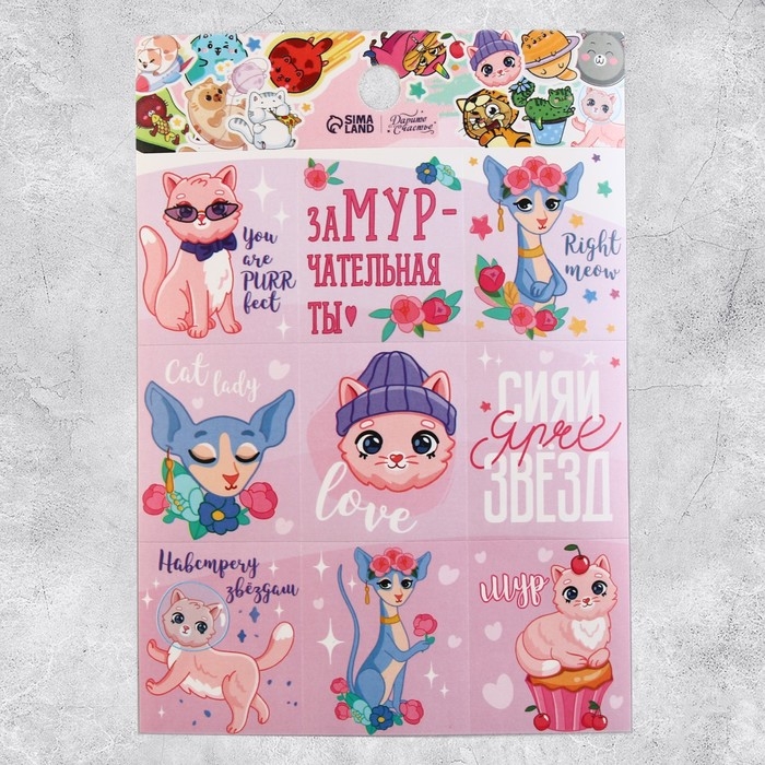 Наклейки детские бумажные, &laquo;Замурчательные истории&raquo;, 11 х 15.5 см, 5 листов