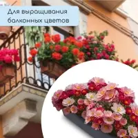 Ящик для рассады, 36 &times; 14 &times; 9 см, 3 л, пластик, чёрный