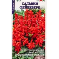 Семена Сальвия Фейерверк /Сотка/ 0,05г/ h-20см/*1500