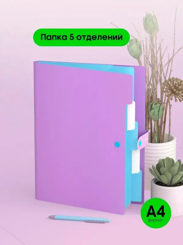 Папка А4, 5 отделений, Calligrata, 600 мкм, на кнопке, сиреневая, матовая