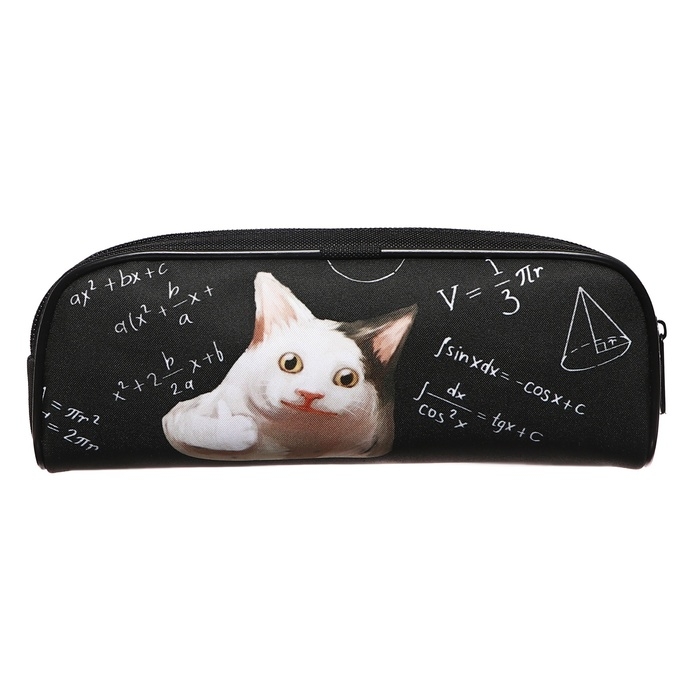 Пенал мягкий, 1 отделение, 80 х 210 х 40 мм, объёмный, Calligrata ПМО 21-20, "Умный кот"