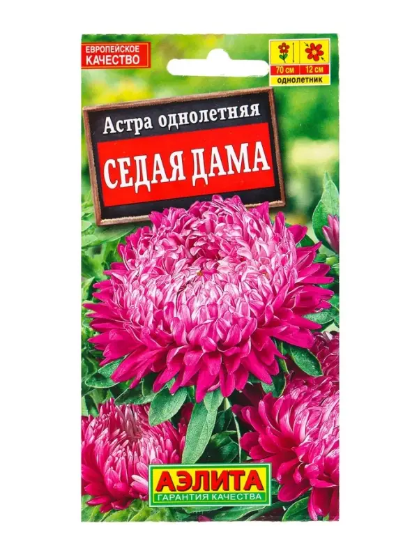 Семена цветов Астра Седая дама , Ц/П,0,2 г