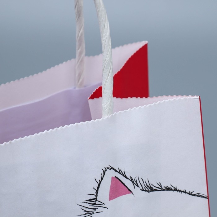 Пакет подарочный крафтовый, упаковка, &laquo;Мягкая моя&raquo;, 12 х 21 х 9 см