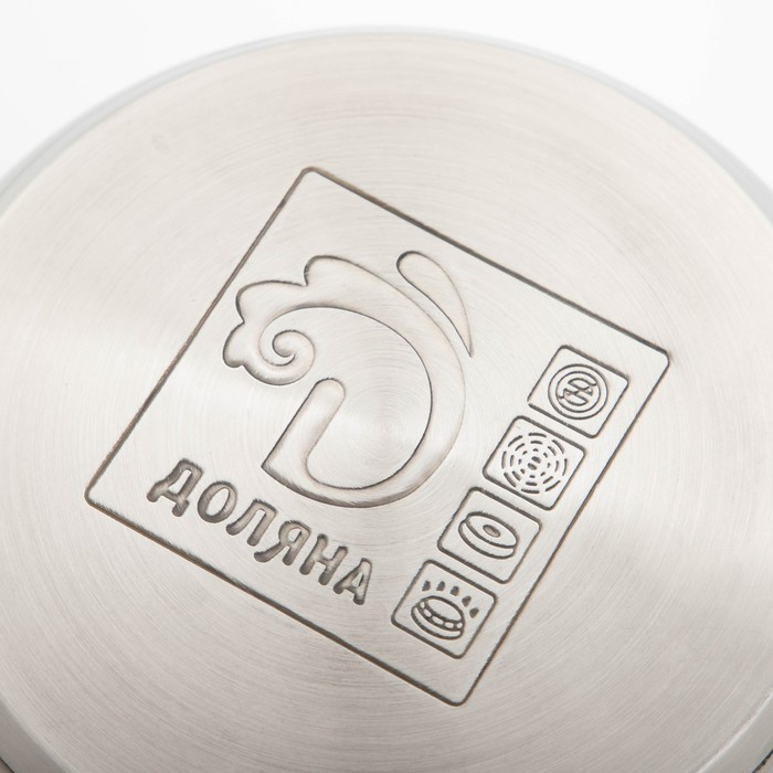 Кастрюля из нержавеющей стали с крышкой Доляна &laquo;Роскошь&raquo;, 2,2 л, d=19 см