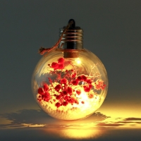 Новогодний шар ёлочный &laquo;Чудесных мгновений&raquo;, на Новый год, d=8 см.