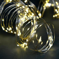 Гирлянда &laquo;Занавес&raquo; 2.8 &times; 3 м роса на крючках, с пультом, IP20, серебристая нить, 300 LED, свечение тёплое белое, 8 режимов, USB