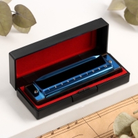 Губная гармошка Music Life T003 C диатоническая, 10 отверстий, с футляром, синяя